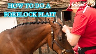 HOW TO PLAIT A FORELOCK [upl. by Youngran610]