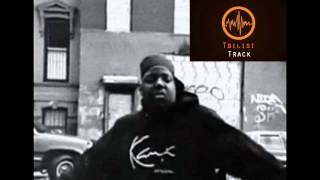 Biggie Smalls  Nobody [upl. by Hajidahk613]