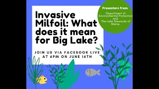 Invasive Milfoil What does it mean for Big Lake [upl. by Acirederf]