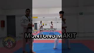 MOVIMIENTOS BÁSICOS DEL TAEKWONDO club KUMGANG DE TAEKWONDO 🥋 ASCENSO A BLANCO [upl. by Anieral]