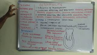 Osteomyelitis  etiopathogenesis and classification [upl. by Ariaec]