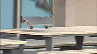 Rodney Mullen Tony Hawks Underground [upl. by Hsan]