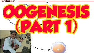 OOGENESIS PART 1  TAMIL EXPLANATION  அண்ட செல் உருவாக்கம் [upl. by Ennylhsa763]