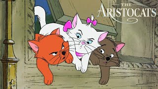 What Were the Names of the Three Kittens in The Aristocats  Disney FAQ [upl. by Ailalue163]