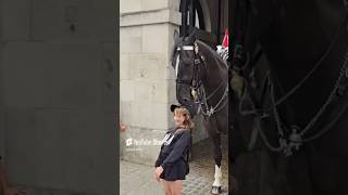 Horse tries to pull off her basecap royalguards [upl. by Rocher]