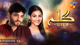 Gila Episode 63  Wahaj Ali  Anzela Abbasi  Best Pakistani Serial  HUM TV [upl. by Odlonyer]