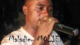 Maladie  MOLIERE [upl. by Sandi]