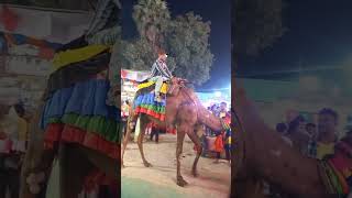 Jhadi Shah Baba Mela Sandila 2024  jhadi shah melajhadishahbabamela mela ytshorts yt [upl. by Hnah263]