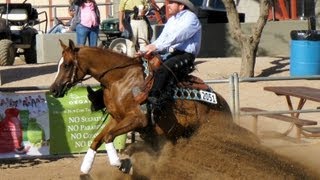 Noble Fantasy  2010 Arabian Reining Futurity Champion [upl. by Llednahs360]