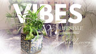 VL◇TV GARDEN MAKEOVER PART II 🌿 plants garden greenliving [upl. by Saerdna]