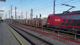 Sichtung aus Marchtrenk Railpool Stern und Hafferl 187 3330 mit einem Holzwagen Richtung Salzburg [upl. by Inaoj528]