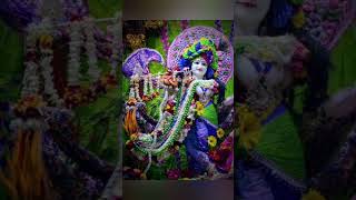 Kanhaiya le chal Parli Paar Jay Shri Krishna Hare Krishna Hare Krishna Hare Krishna🙏🙏🙏🙏🙏 [upl. by Anelam]