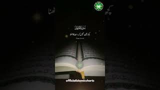 Surah Muzammil Translation ytshorts youtube shortvideo qurantilawat shorts qurantranslation [upl. by Lowenstein]