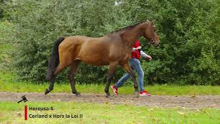 Hereusa S Corland x Hors la Loi II [upl. by Retlaw325]