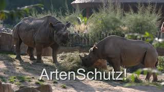 Der Zoo Krefeld stellt sich vor  Imagefilm 2020 [upl. by Edouard]