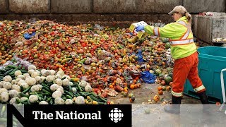 Canadians get creative in solving food waste problem [upl. by Fabi736]