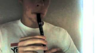 quotConcerning Hobbitsquot on Tin Whistle [upl. by Otreblada22]