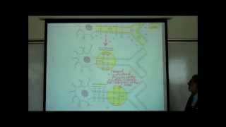 ACTION POTENTIALS IN NEUROPHYSIOLOGY by Professor Fink [upl. by Aisital]