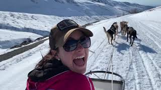 Winter dogsledding at Alaskan Husky Adventures [upl. by Oringas629]