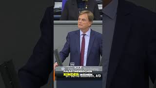 Dr Bernd Baumann💙 politik afd bsw deutschland bundestag ampel opposition cdu palestina [upl. by Josi]