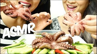 ASMR Octopus SAVAGE EXTREME EATING SOUND No Talking  SASASMR [upl. by Eidnak]