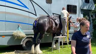 2024 Heavy Horse Show  Capel Manor Gardens [upl. by Vance]