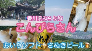 香川県観光 こんぴらさん参拝 神馬さんに会えて嬉しい🦄参拝後はたなかやさんでおいりソフトやさぬきビール [upl. by Holzman]