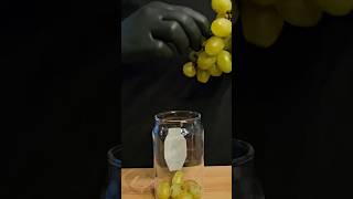 Green grapes Mojito easyrecipe mojito shorts asmr [upl. by Razid]