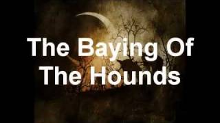 Opeth  The Baying Of The Hounds VST cover [upl. by Naashar]