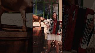 Girl with accordion😱🇲🇩 dance accordion reghinaalexandrina moldova music [upl. by Esnahc593]