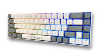 StepOne Pro Wired Full Rgb Mechanical Keyboard 68 Keys With Software Red Outemu switches [upl. by Adnuhs918]