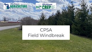 Field Windbreak [upl. by Eiramalegna]