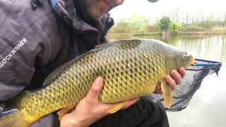 Fishing The Method Feeder wilden pool Kidderminster [upl. by Shuman]