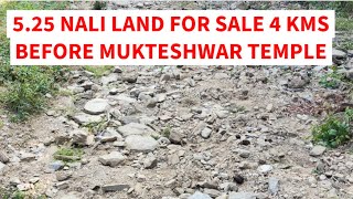 land for sale near mukteshwar temple 5 25 nali land  himalaya view snowfall area [upl. by Nanerb]