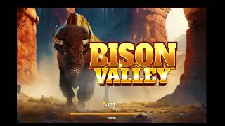 Bison Valley Session [upl. by Akemit]