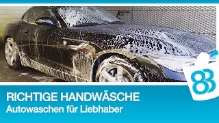 Die richtige Handwäsche  Autowaschen für Liebhaber  Autopflege Auto waschen Tutorial [upl. by Johst]