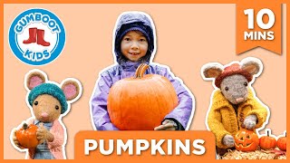 Pumpkins 🎃 Gumboot Kids [upl. by Nilyac]