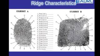 ADRC Asian Dermatoglyphics Research Centre [upl. by Sayer443]