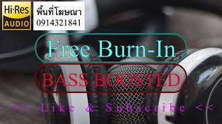 Burn In  เพลง เบิร์นหูฟังลำโพง ได้ผล 100 ครบทุกย่านความถี่เสียง V306 [upl. by Mcconnell]