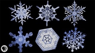 The Science of Snowflakes [upl. by Eetsim763]