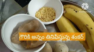 ప్రేమగా గౌరీ కి అన్నం తినిపిస్తున్న శంకర్ [upl. by Kcirrem]