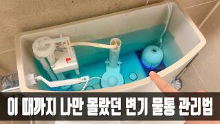 변기 물통을 방치하게 되면 엉덩이가 곰팡이 범벅이 되는데 사장님이 방법을 알려주셔서 쾌적하게 사용할 수 있네요 [upl. by Oivalf]