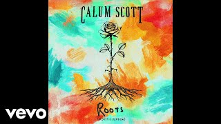 Calum Scott  Roots Acoustic Version  Audio [upl. by Rubel]