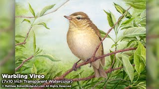 Warbling VireoTransparent Watercolor Painting and Time lapse SHORT no commentary [upl. by Keemahs]