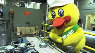 How Duck Tape is Made [upl. by Engelbert]