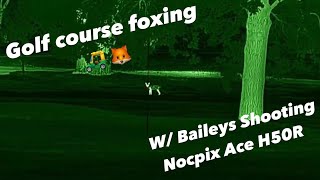 Foxing with the Nocpix Ace H50R w Baileys Shooting [upl. by Ondrej443]