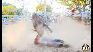 TREINO DE RODEIO 06 VÁ E VENÇA CIA AP [upl. by Augy]