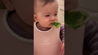 4 month old baby tries broccoli  My first solid foodbroccoli purée [upl. by Annairda369]