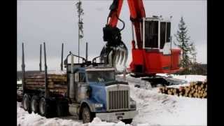 Loading Tri Drive Quad Log Truck [upl. by Quigley]