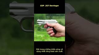 Một trong những súng vô dụng nhất từng được sản xuất  COP 357 Derringer [upl. by Ecyle298]